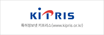 특허정보넷 키프리스